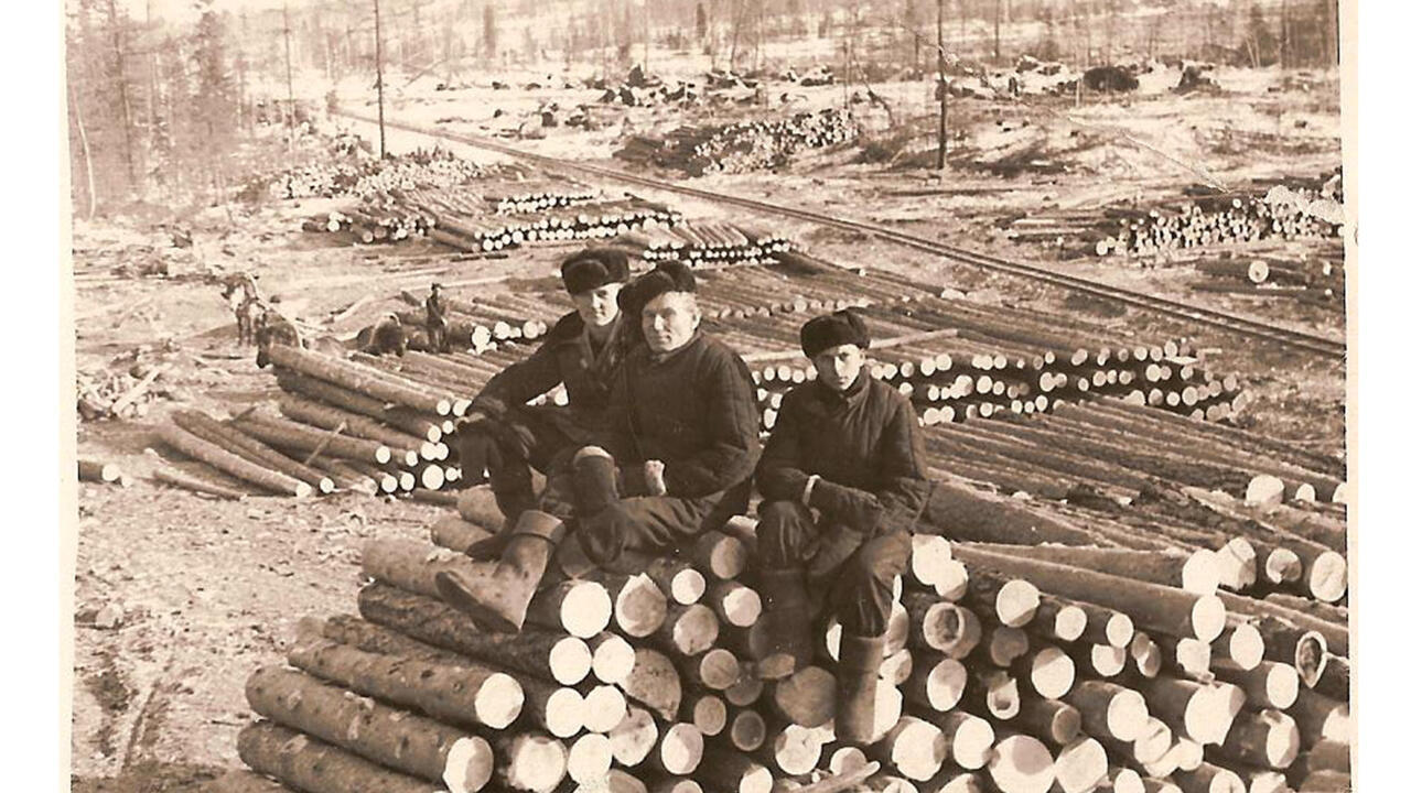 Qizil Dormouse yalangoch